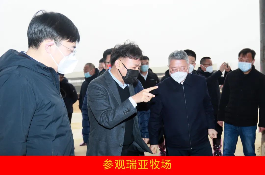 新年開新局 合作促發(fā)展丨佳木斯市委常委、副市長(zhǎng)閆志剛一行蒞臨花花牛乳業(yè)集團(tuán)及佳田企業(yè)考察座談 新年開新局 合作促發(fā)展丨佳木斯市委常委、副市長(zhǎng)閆志剛一行蒞臨花花牛乳業(yè)集團(tuán)及佳田企業(yè)考察座談