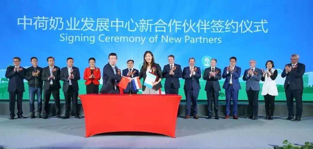 SDDDC走進河南，看看花花牛的國際范兒！