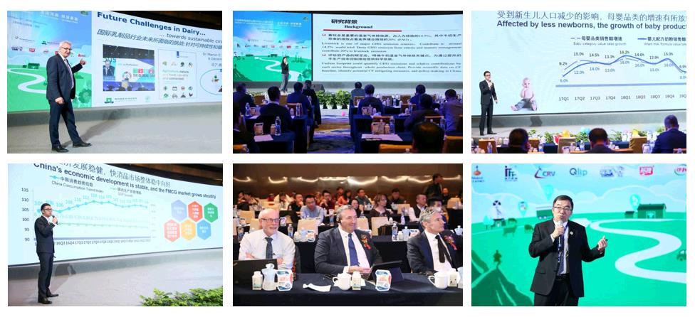 SDDDC走進河南，看看花花牛的國際范兒！