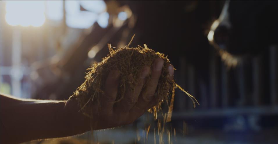 又雙叒叕獲獎啦!花花牛榮獲“乳品質量安全管理 優秀企業” 又雙叒叕獲獎啦!花花牛榮獲“乳品質量安全管理 優秀企業”