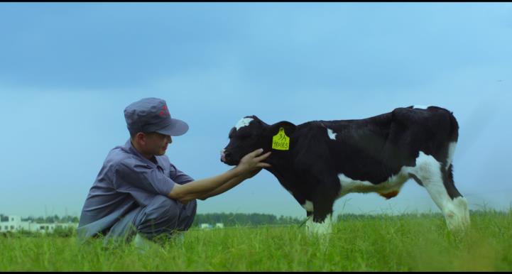 又雙叒叕獲獎啦!花花牛榮獲“乳品質量安全管理 優秀企業” 又雙叒叕獲獎啦!花花牛榮獲“乳品質量安全管理 優秀企業”