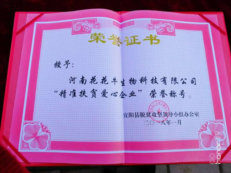 關愛成長 相伴未來——精準扶貧“暖冬公益行”走進宜陽縣白楊鎮 關愛成長 相伴未來——精準扶貧“暖冬公益行”走進宜陽縣白楊鎮